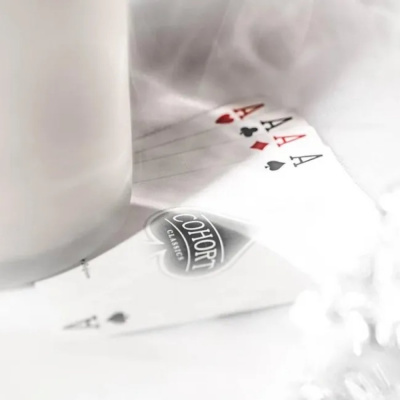 картинка Карты "Ellusionist Cohorts Ghost" от магазина Gamesdealer.ru