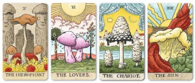картинка Карты Таро "Mushroom Hunters Tarot" 12х7 Reprint / Таро Охотники За Грибами Карты TAROMANIA от магазина Gamesdealer.ru