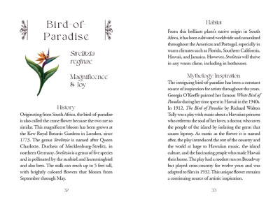 картинка Карты Таро "The Flowerwise Oracle Cards" Schiffer Publishing / Карты Цветочного оракула от магазина Gamesdealer.ru