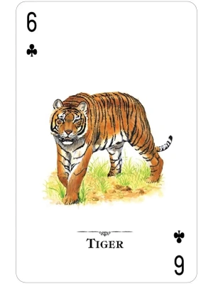 картинка Карты "Endangered Species of the Natural World Playing Cards" магазин Gamesdealer.ru являющийся официальным дистрибьютором в России  картинка Карты "Endangered Species of the Natural World Playing Cards" от магазина Gamesdealer.ru