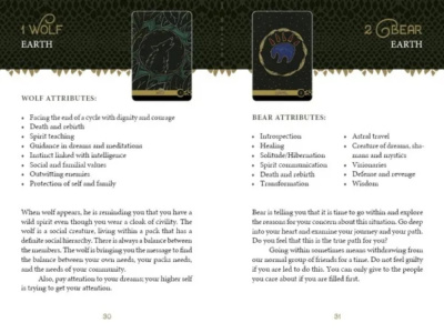 картинка Карты таро "The Wild Elemental Oracle" RED Feather / Оракул Дикой Стихии от магазина Gamesdealer.ru