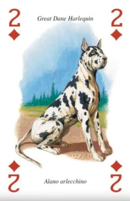 картинка Карты "Dogs Playing Cards" от магазина Gamesdealer.ru