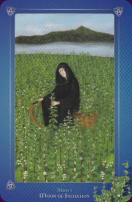 картинка Карты таро "The Avalonian Oracle" Schiffer Publishing / Авалонский оракул от магазина Gamesdealer.ru