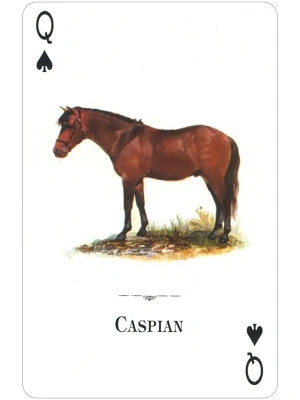 картинка Карты "Horses of the Natural World Playing Cards" магазин Gamesdealer.ru являющийся официальным дистрибьютором в России  картинка Карты "Horses of the Natural World Playing Cards" от магазина Gamesdealer.ru