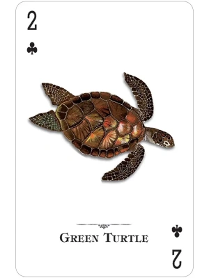 картинка Карты "Reptiles & Amphibians of the Natural World Playing Cards" магазин Gamesdealer.ru являющийся официальным дистрибьютором в России  картинка Карты "Reptiles & Amphibians of the Natural World Playing Cards" от магазина Gamesdealer.ru