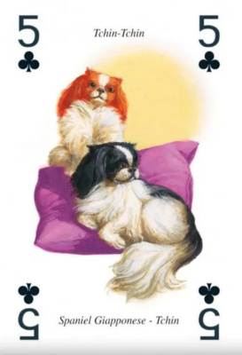 картинка Карты "Dogs Playing Cards" от магазина Gamesdealer.ru