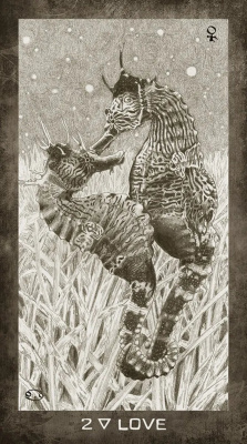 картинка Карты Таро "New Era Elements Tarot" US Games Systems / Колода Новой Эры от магазина Gamesdealer.ru