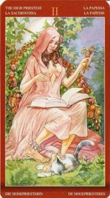 картинка Карты Таро "Tuan/De Luca Tarot of Sexual Magic" Lo Scarabeo / Магия Наслаждений от магазина Gamesdealer.ru