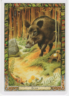 картинка Карты Таро "Druid Animal Oracle Deck Reissue" Welbeck Publishing / Переиздание Колоды Друидов Животн от магазина Gamesdealer.ru