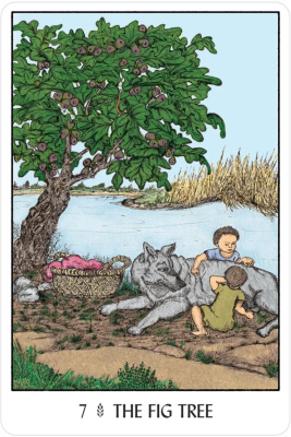 картинка Карты Таро "Oracle of the Tress" US Games / Оракул Деревьев от магазина Gamesdealer.ru