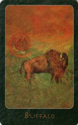 картинка Карты Таро "Shaman Oracle" AGM Urania / Оракул Шамана от магазина Gamesdealer.ru