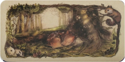 картинка Карты Таро "Whispering Wood Inspiration Cards" US Games / Колода Вдохновения Шепот Деревьев от магазина Gamesdealer.ru