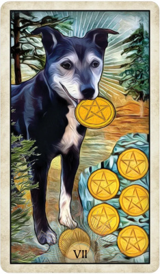 картинка Карты Таро "Wise Dog Tarot" US Games / Таро Мудрой Собаки от магазина Gamesdealer.ru