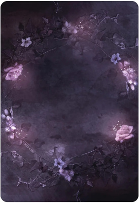 картинка Карты Таро "Dark Light Oracle Cards" US Games / Оракул Темного Света от магазина Gamesdealer.ru