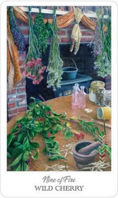 картинка Карты Таро  "The Herbcrafter's Tarot" US Games / Карты Таро Травника от магазина Gamesdealer.ru