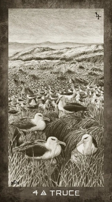 картинка Карты Таро "New Era Elements Tarot" US Games Systems / Колода Новой Эры от магазина Gamesdealer.ru