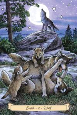 картинка Карты Таро "Everyday Witch's Familiars Oracle" Llewellyn / Фамильяры Повседневной Ведьмы - Оракул от магазина Gamesdealer.ru