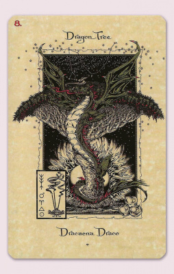 картинка Карты Таро "The Magickal Botanical Oracle" Lo Scarabeo / Волшебный Ботанический Оракул от магазина Gamesdealer.ru