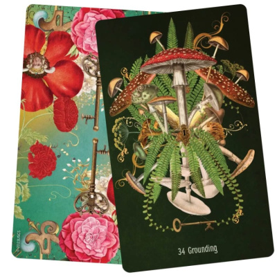 картинка Карты Таро "Unlocking the Secret Garden Oracle cards" US Games / Карты оракула Тайного сада  от магазина Gamesdealer.ru