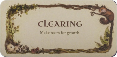 картинка Карты Таро "Whispering Wood Inspiration Cards" US Games / Колода Вдохновения Шепот Деревьев от магазина Gamesdealer.ru