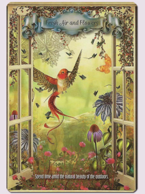 картинка Карты Таро "Hummingbird Wisdom Oracle Cards" Red Feather / Оракул мудрости колибри от магазина Gamesdealer.ru