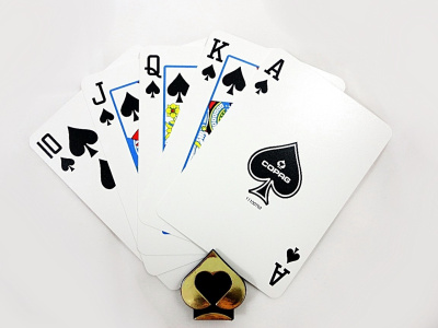 картинка Карты "1546 Plastic Poker Size Jumbo Index orange/brown Double-Deck Set" от магазина Gamesdealer.ru