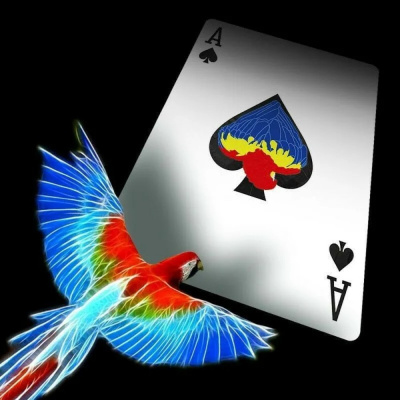 картинка Карты "Infinity playing cards by D3PSY Standard index" от магазина Gamesdealer.ru