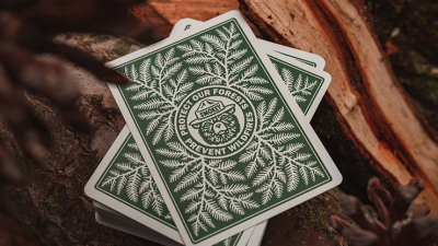 картинка Карты "Art Of Play Smokey Bear" от магазина Gamesdealer.ru