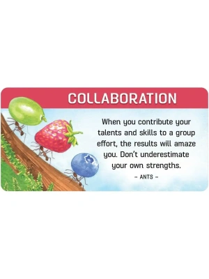 картинка Карты Таро "Backyard Blessings: 40 Inspiration Cards" US Games / Благословение На Заднем Дворе от магазина Gamesdealer.ru