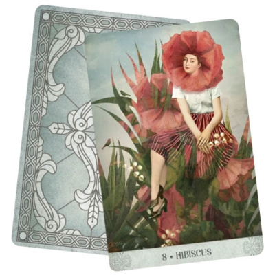 картинка Карты Таро "Botanical Dreams Oracle" US Games / Оракул ботанических снов от магазина Gamesdealer.ru