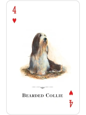 картинка Карты "Dogs of the Natural World Playing Cards" магазин Gamesdealer.ru являющийся официальным дистрибьютором в России  картинка Карты "Dogs of the Natural World Playing Cards" от магазина Gamesdealer.ru