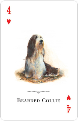 картинка Карты "Dogs of the Natural World Playing Cards" от магазина Gamesdealer.ru