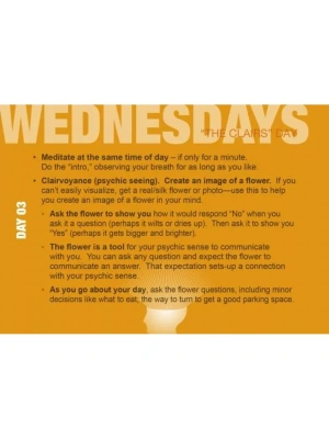 картинка Карты Таро "Build Your Psychic Skills - The 90 day Plan Book" Schiffer Publishing / Развивайте свои  от магазина Gamesdealer.ru