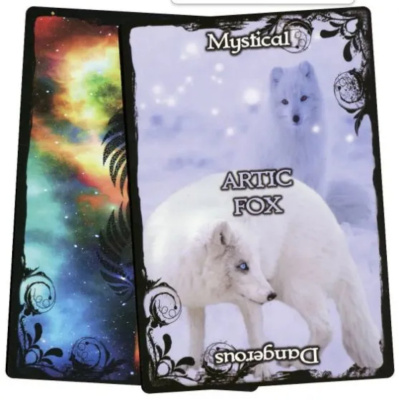 картинка Карты Таро "Animal Guidance & Aspects Oracle Cards" Solarus /  Руководство по Животным и Аспекты Кар от магазина Gamesdealer.ru