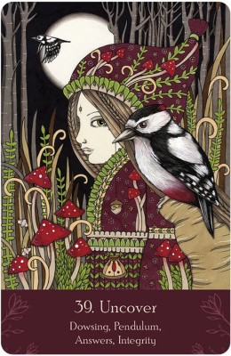 картинка Карты Таро "Universal Folk Oracle" US Games / Колода Универсального Народного Оракула от магазина Gamesdealer.ru