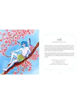 картинка Карты таро "Inspirational Visions Oracle Cards" Schiffer Publishing / Вдохновляющие Видения Карты Ор от магазина Gamesdealer.ru