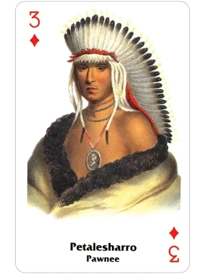 картинка Карты "Native American Playing Cards Set One" от магазина Gamesdealer.ru