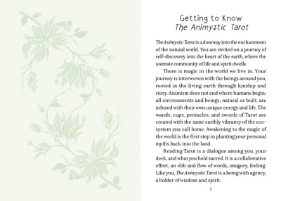 картинка Карты Таро "the Animystic Tarot Cards" Schiffer Publishing / Карты Таро «Анимастик» от магазина Gamesdealer.ru