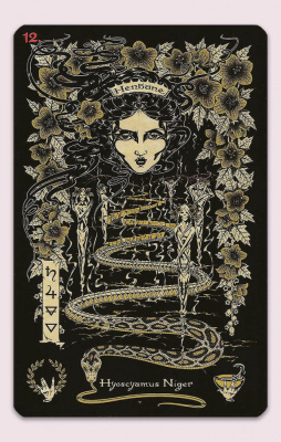 картинка Карты Таро "The Magickal Botanical Oracle" Lo Scarabeo / Волшебный Ботанический Оракул от магазина Gamesdealer.ru