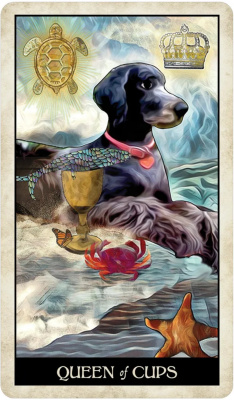 картинка Карты Таро "Wise Dog Tarot" US Games / Таро Мудрой Собаки от магазина Gamesdealer.ru