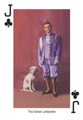 картинка Карты "Stars of Magic Black Edition Playing Cards" от магазина Gamesdealer.ru