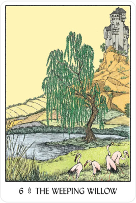 картинка Карты Таро "Oracle of the Tress" US Games / Оракул Деревьев от магазина Gamesdealer.ru