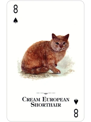 картинка Карты "Cats of the Natural World Playing Cards" от магазина Gamesdealer.ru
