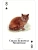 картинка Карты "Cats of the Natural World Playing Cards" от магазина Gamesdealer.ru