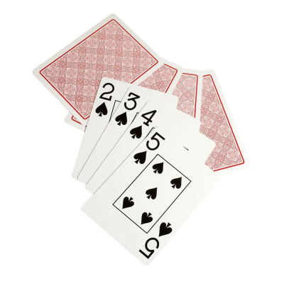 картинка Карты для покера "Monte Carlo" 100% пластик от магазина Gamesdealer.ru