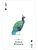 картинка Карты "Endangered Species of the Natural World Playing Cards" от магазина Gamesdealer.ru