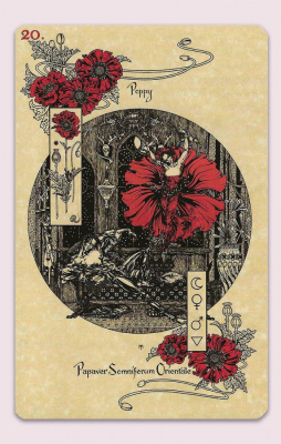 картинка Карты Таро "The Magickal Botanical Oracle" Lo Scarabeo / Волшебный Ботанический Оракул от магазина Gamesdealer.ru