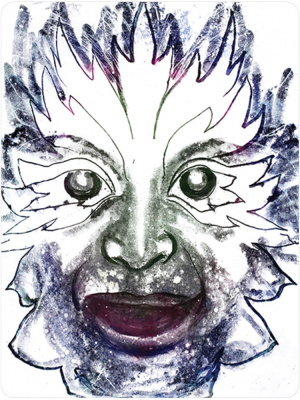 картинка Карты Таро "Portals of Presence: Faces Drawn from the Subtile Realms" US Games / Порталы Присутствия от магазина Gamesdealer.ru