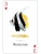 картинка Карты "Aquarium of the Natural World Playing Cards" от магазина Gamesdealer.ru