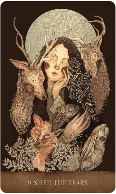 картинка Карты Таро "Dream Song Oracle" US Games / Оракул сонной песни от магазина Gamesdealer.ru